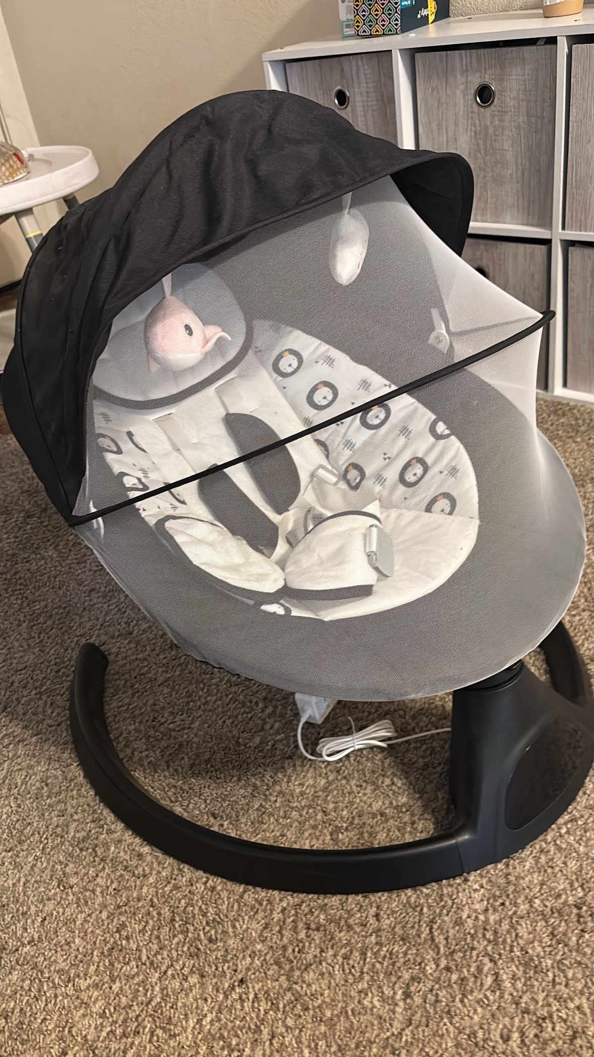Baby Swing