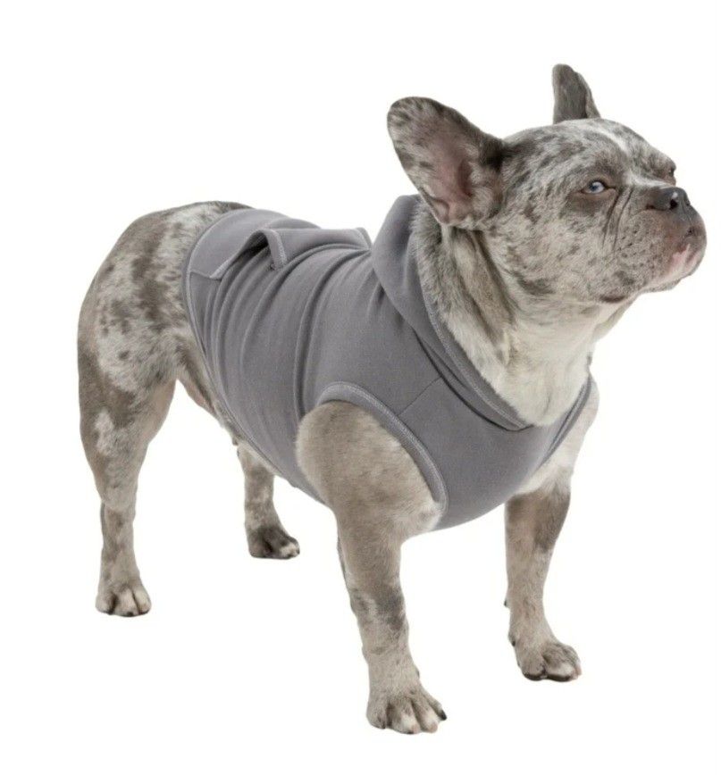 Vibrant Life Kanga Pocket Dog Hoodie