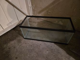 Glass Aquarium Tank with Black Frame
