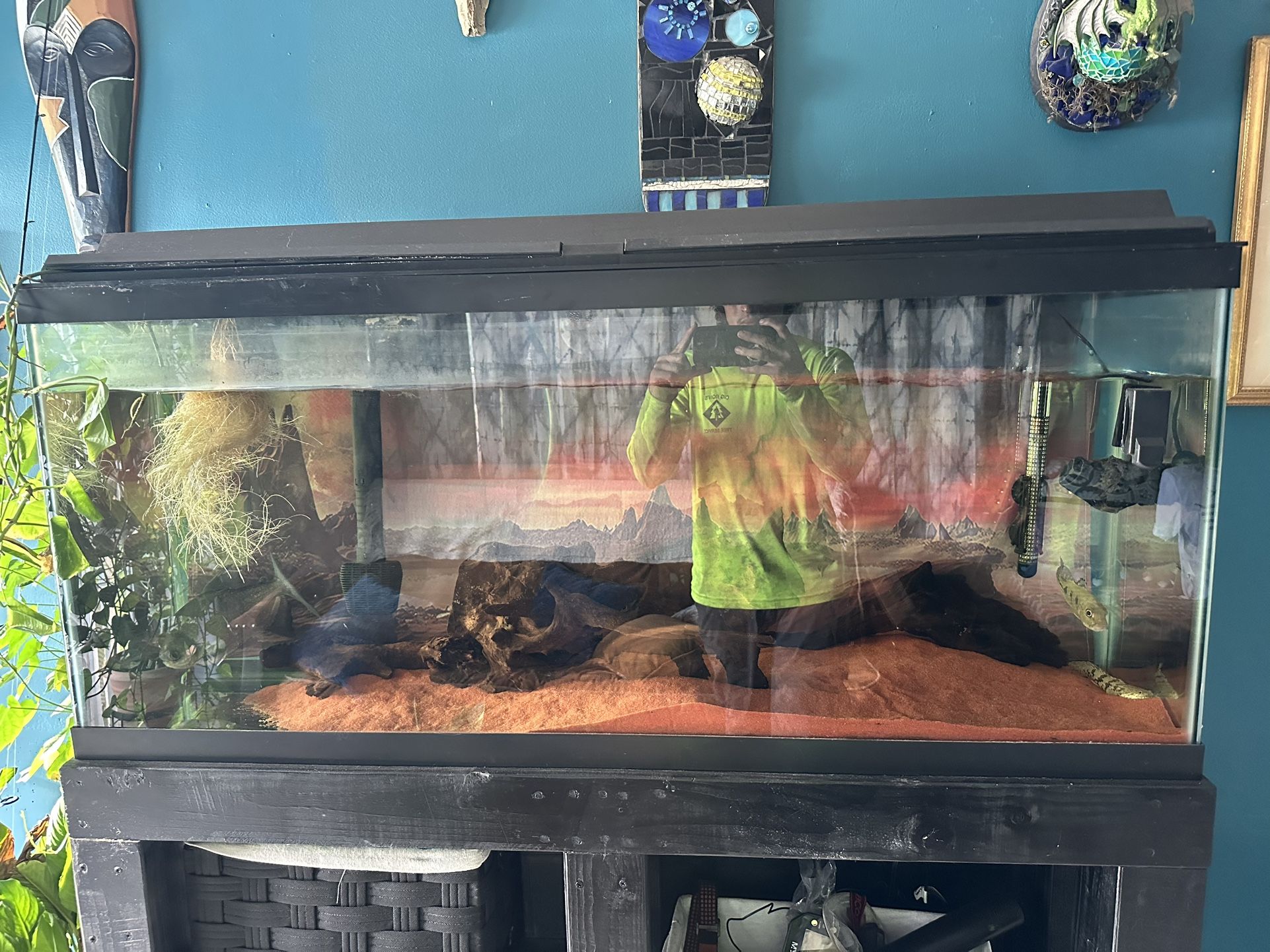 Fish Tank