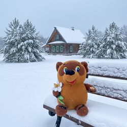 Vintage Vinni Pukh Plush - Soviet Winnie The Pooh Russian Bear with Flower & Bee