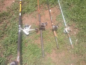 Rod and reels