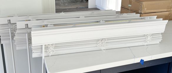 Levolor Window Blinds