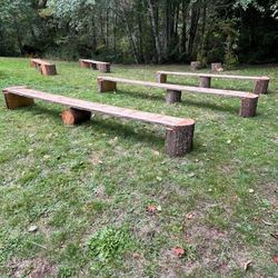 Live Edge Wood Benches *Sale Pending*