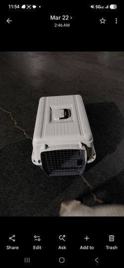 Large carrier
