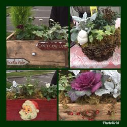 Holiday outdoor perennial gardens