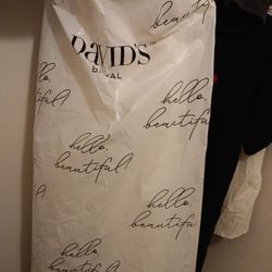 Beautiful Ivory David's Bridal Dress Size 10
