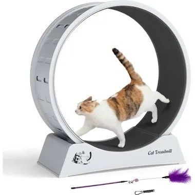 Cat Treadmill