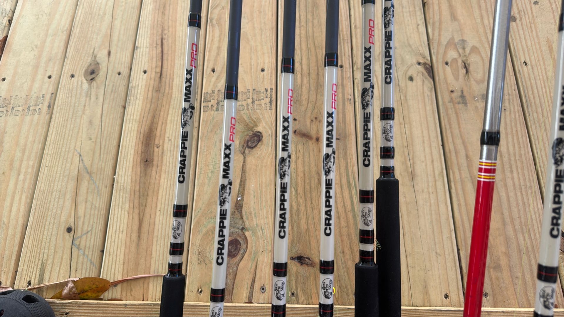 Rod And Spinning Reel