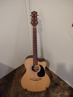 acoustic guitar