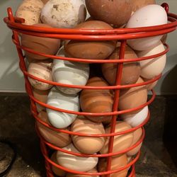 Free Range Eggs