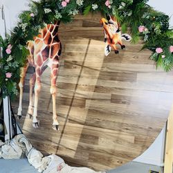 Special Event Backdrop