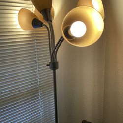 Lamps And Desk 