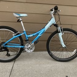 Aluminum Bike Trek Sz 24