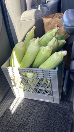 Corn basket
