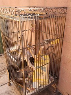 Bird Cage