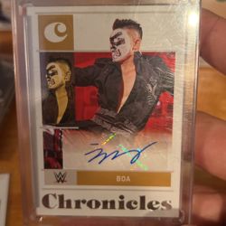 WWE Auto