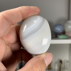 Agate Palm Stone Healing Crystal