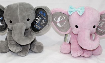 Personalized Elephant Birth Stats