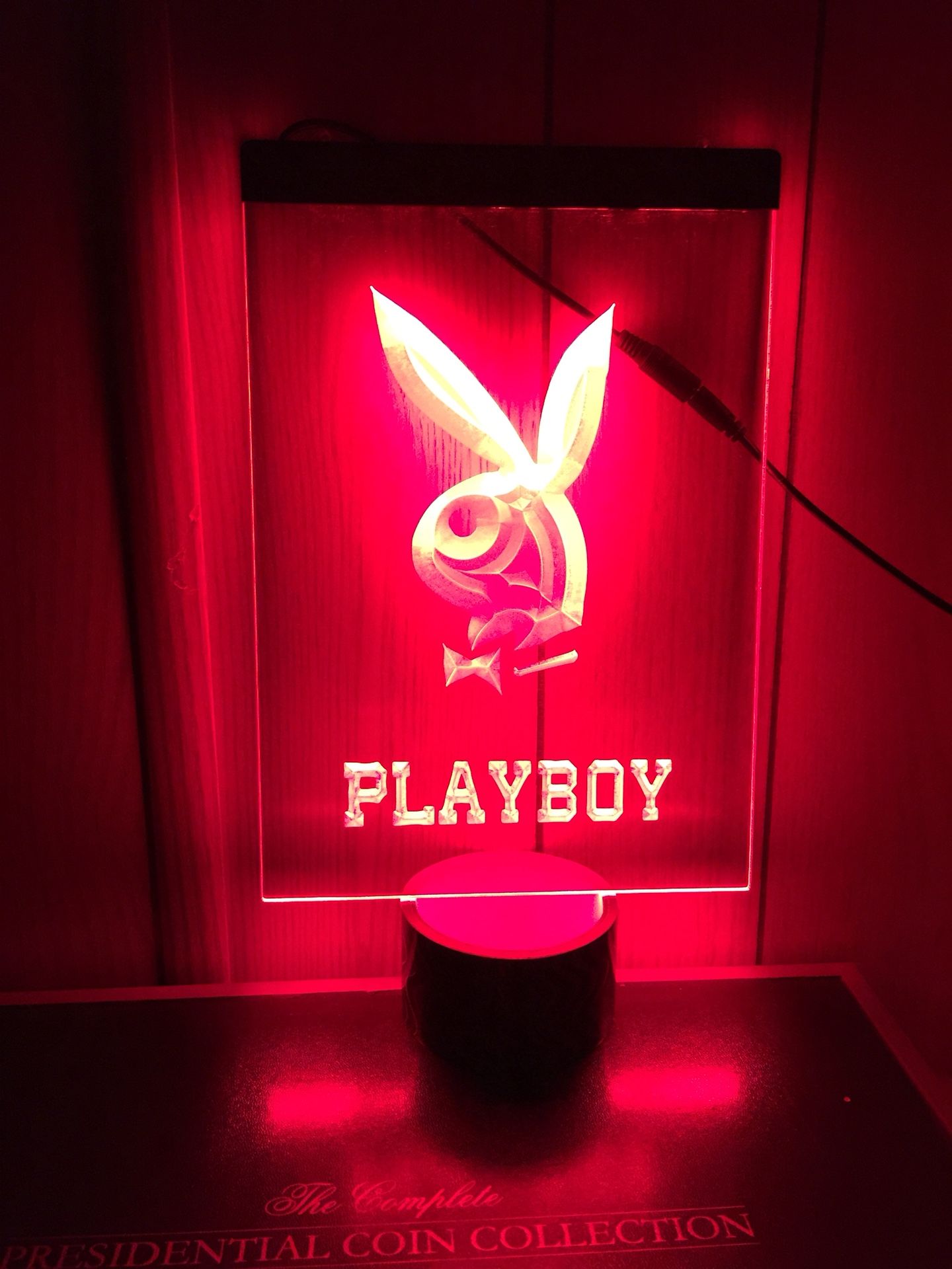 Playboy 3D LED Neon light Sign(12X8”)