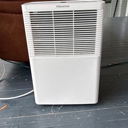 Hisense Dehumidifier