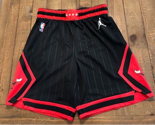 Nike Chicago Bulls Jordan Brand Statement Edition Mens Size M Swingman Shorts