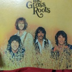Vintage More Golden Grass The Grass Roots Album