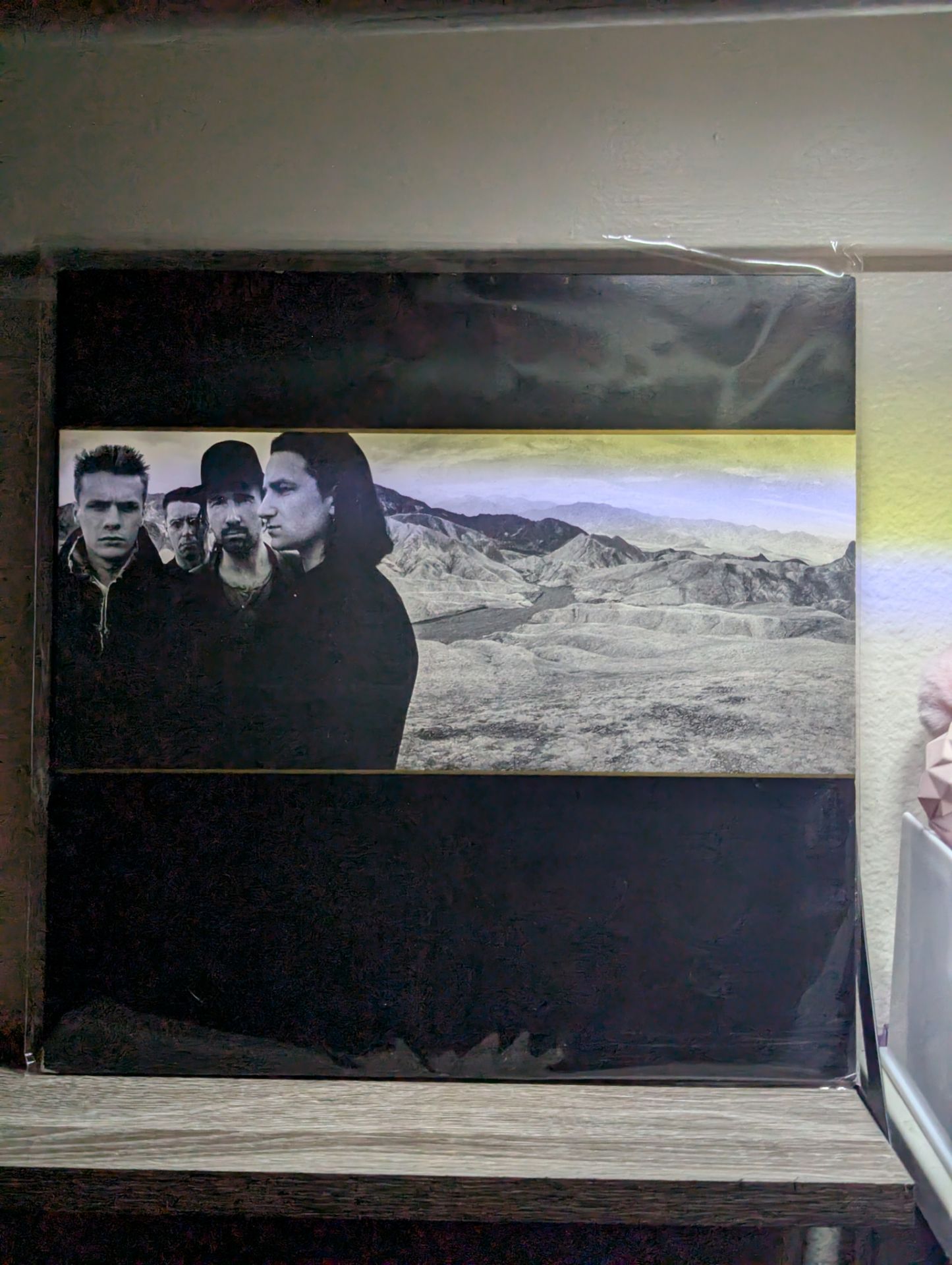 U2 Joshua Tree (NM)