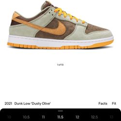 DEADSTOCK NIKE DUNK LOW “Dusty Olive” Size 11.5