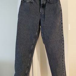 EVERLANE women’s 90’s Cheeky Jean Size 25