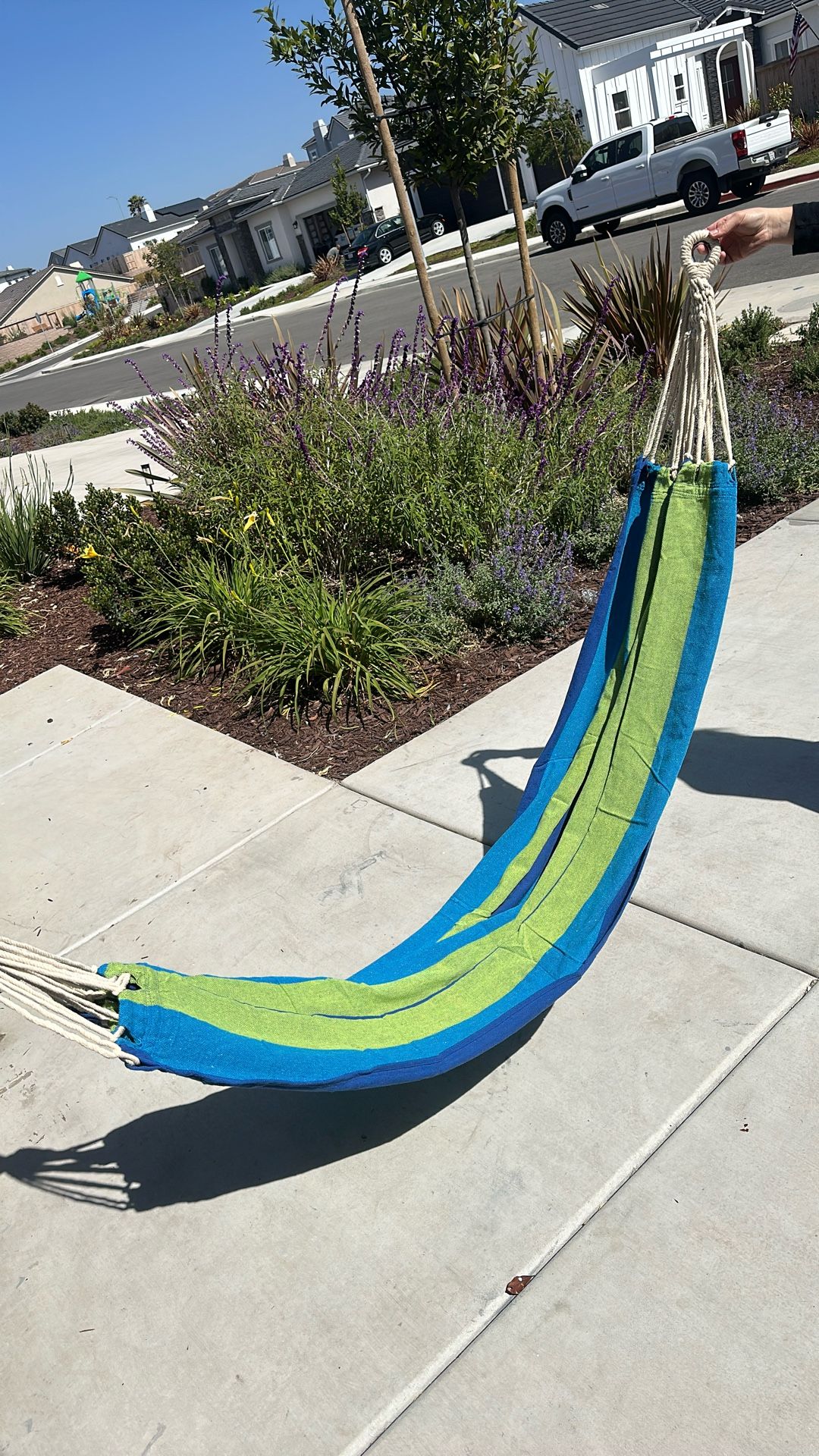 Hammock
