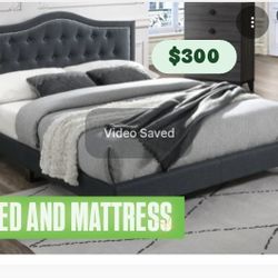 Queen Size Bed And Mattress 