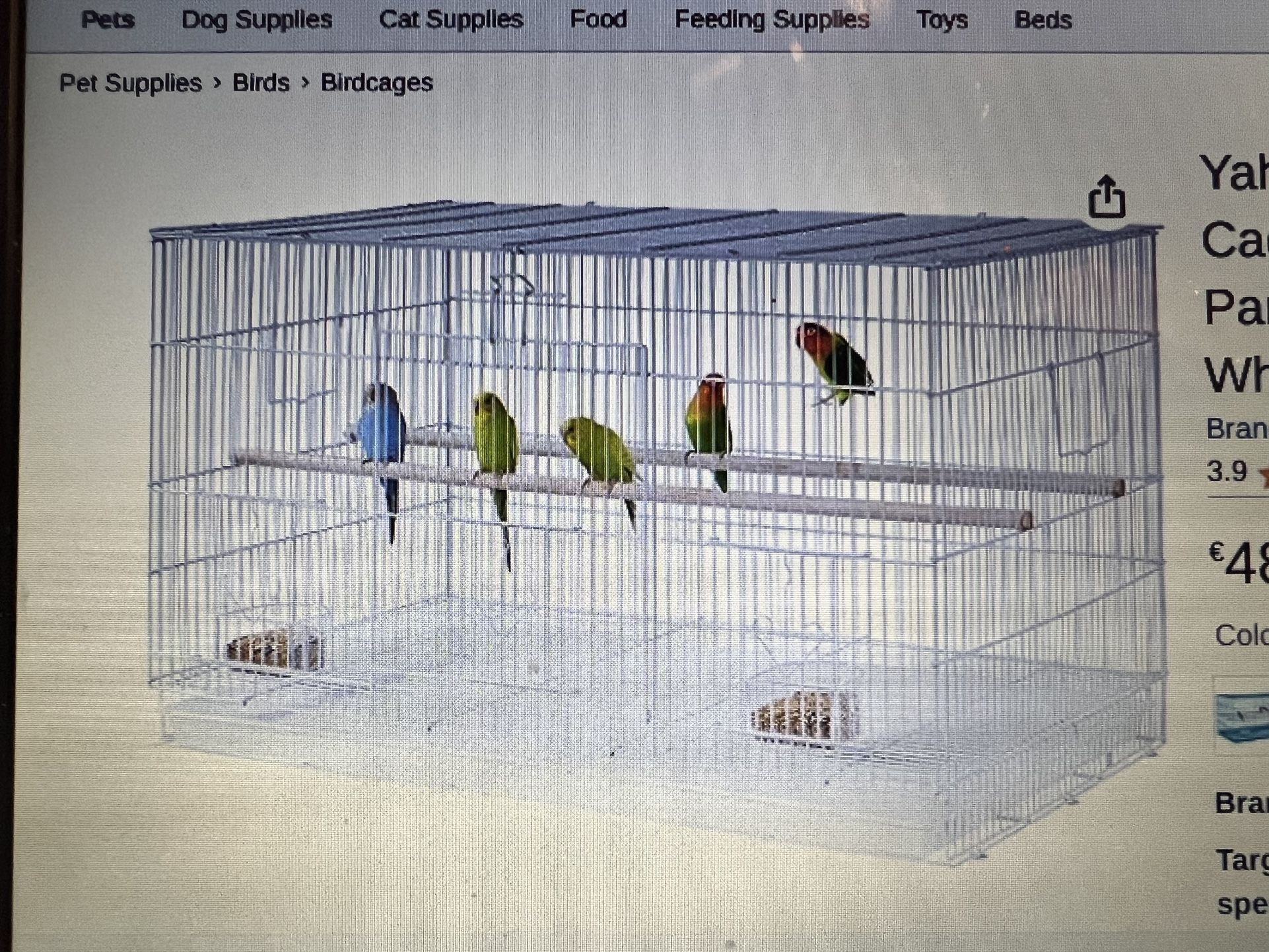 White Bird Cage