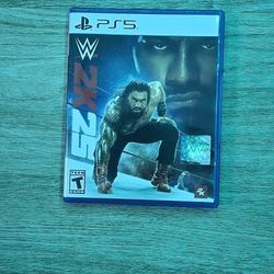 WWE 2K25