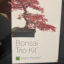 Plant Theatre Bonsai Trio Kit 3 Distinctive Trees To Grow Complete (s)
