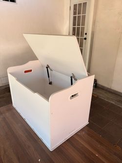 Storage Trunk