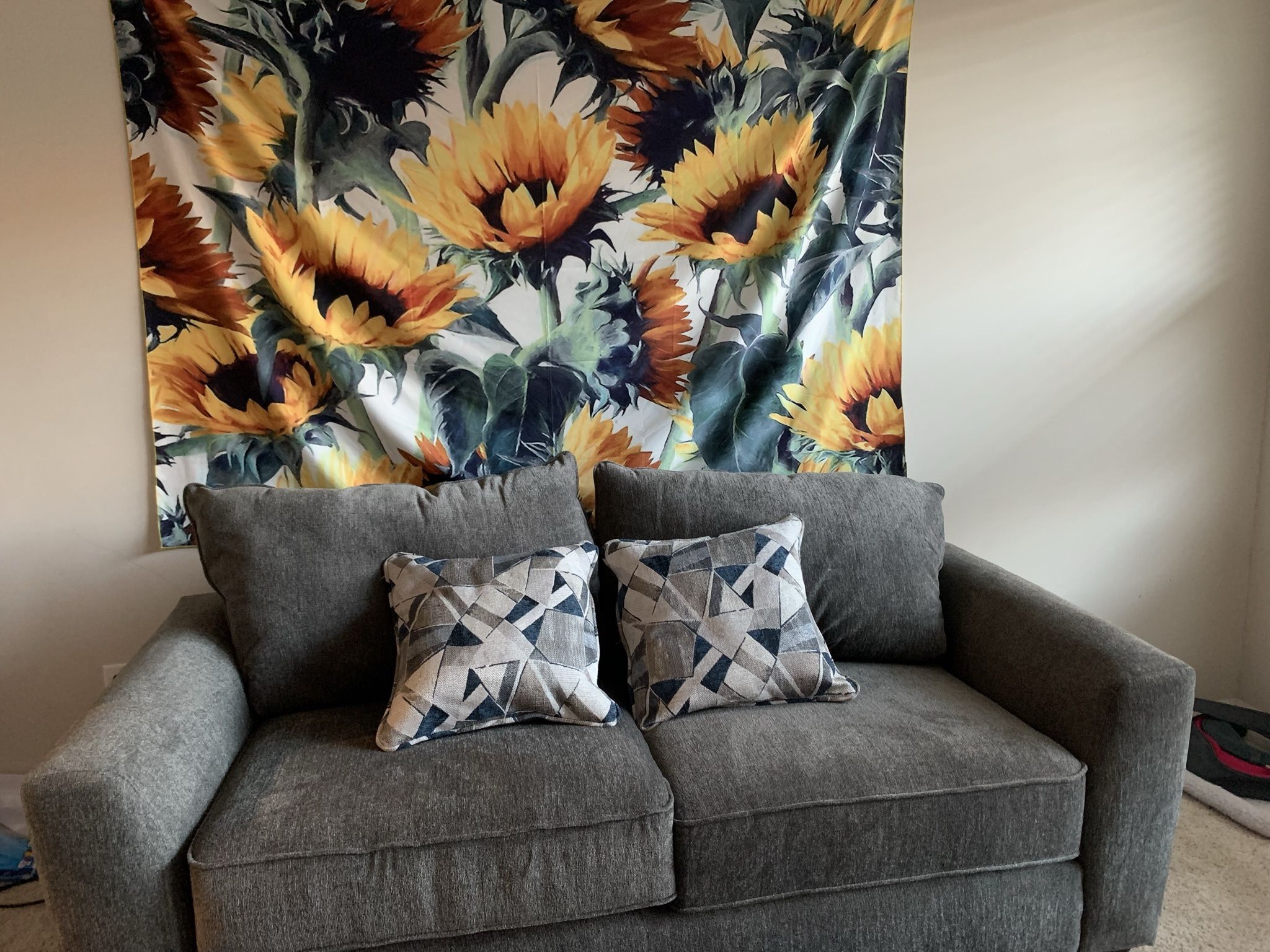 $600 Gray Couch (Queen sized pull-out)