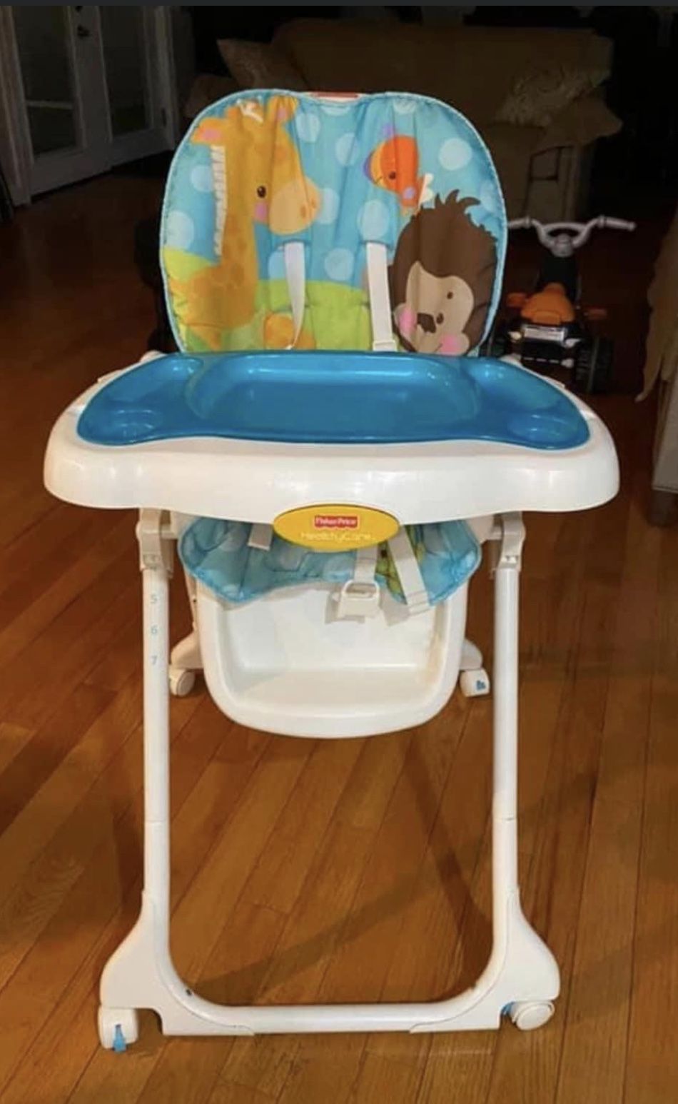 Fisher-Price Precious Planet Sky Blue High Chair