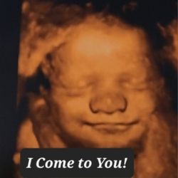 baby boy or baby girl 