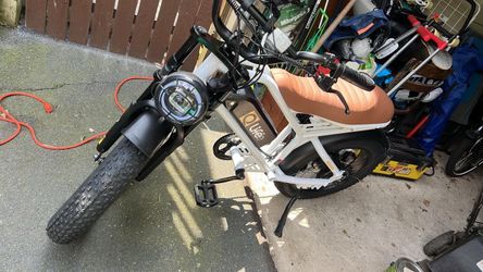 E bike