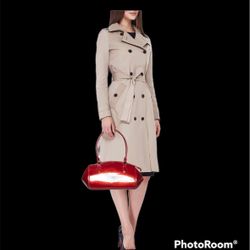 Louis Vuitton Louis Vuitton Pomme D’amour Monogram Vernis Sherwood PM Bag