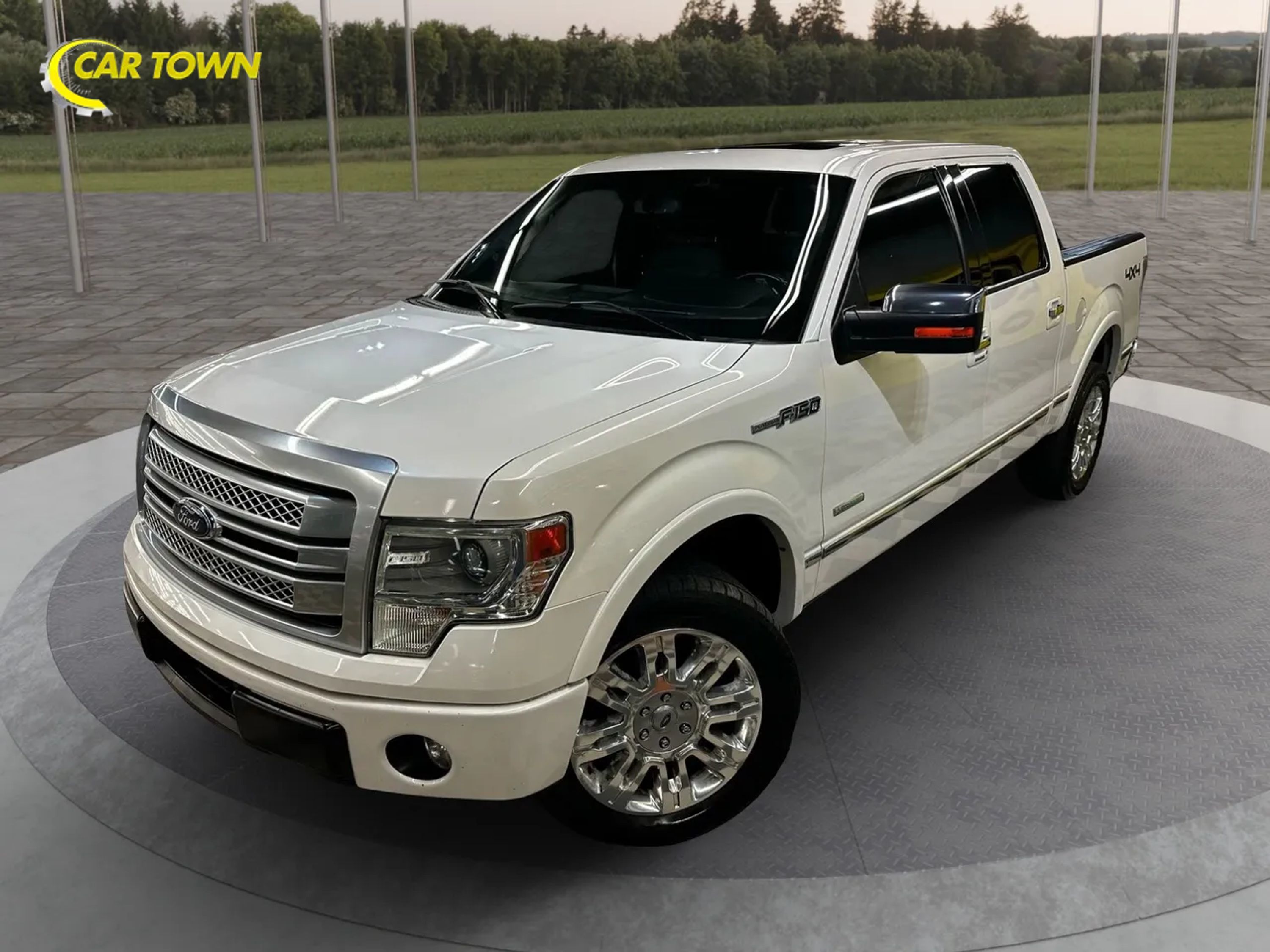 2014 Ford F150 SuperCrew Cab