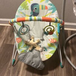 Baby Bouncer