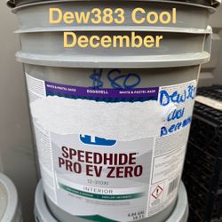 5 Gallon Paint 