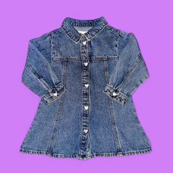 ZARA 2T Denim Dress