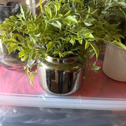 Artificial Plants