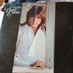 David Cassidy Vinyl Record 10.00 firm