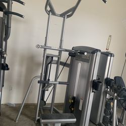 Cybex Pull Up Dip Assist