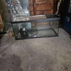 Fish tank