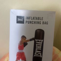 Everlast Punching Bag 